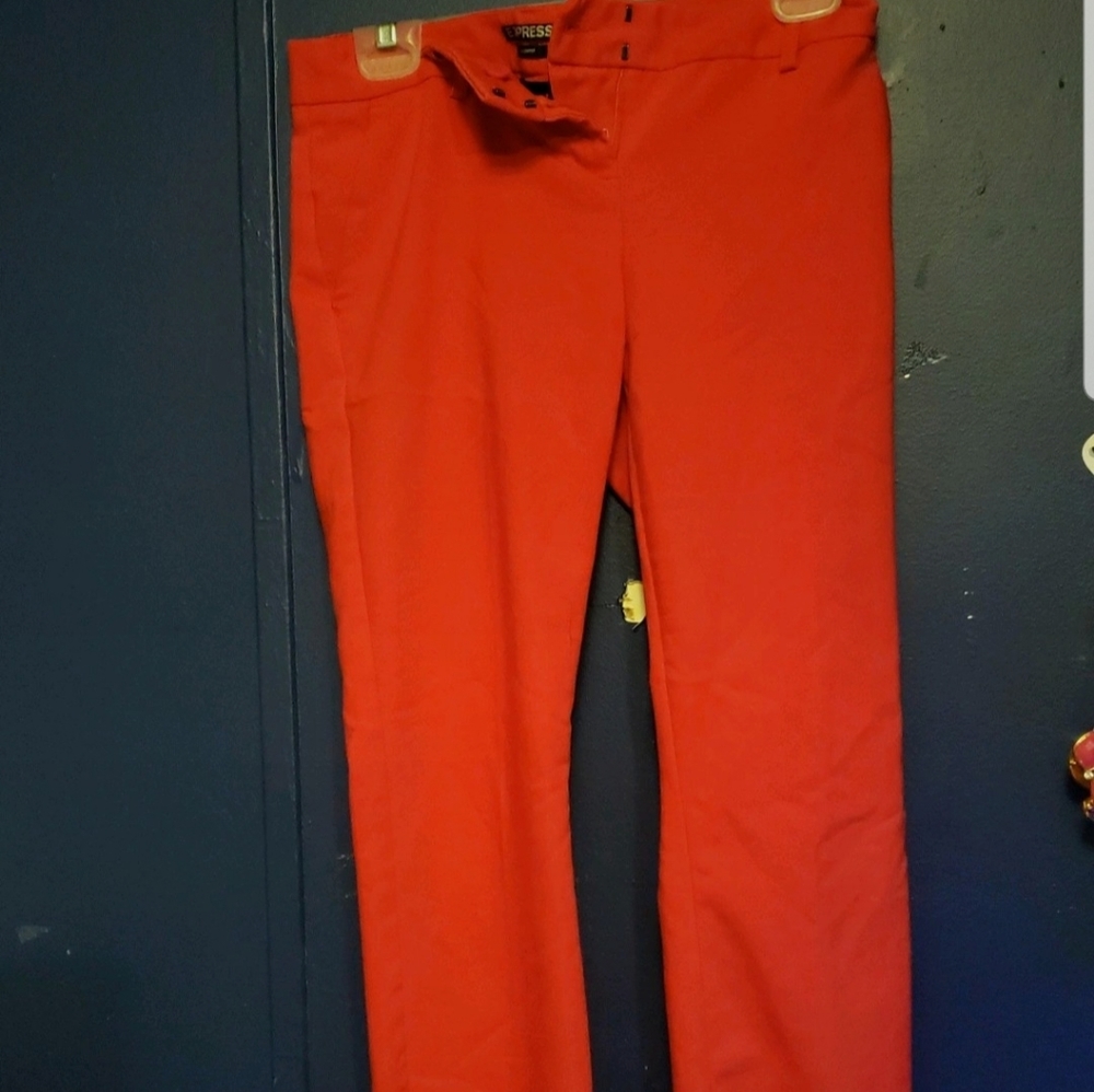 Dress pants